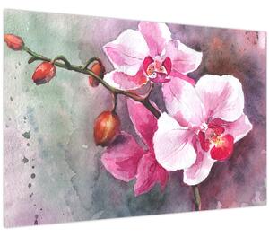 Obraz - Orchidey, aquarel (90x60 cm)