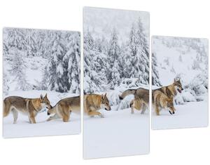 Obraz - Vlci v horách (90x60 cm)