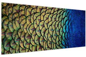Obraz - Pávie perie (120x50 cm)