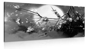 Obraz konáre stromu za splnu mesiaca v čiernobielom prevedení Varianta: 100x50