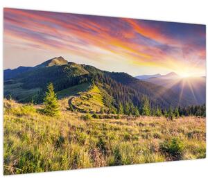 Obraz - Lesná krajina (90x60 cm)
