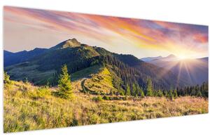 Obraz - Lesná krajina (120x50 cm)