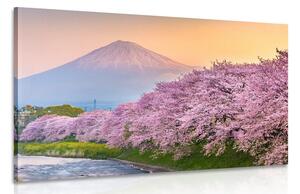 Obraz japonská sopka Fuji Varianta: 60x40