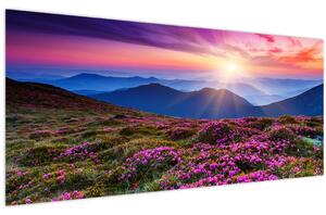 Obraz - Horská rozkvitnutá krajina (120x50 cm)