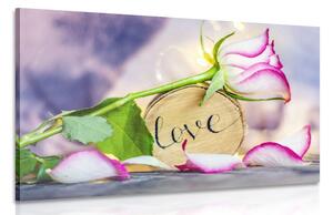 Obraz romantické vyznanie Love Varianta: 60x40
