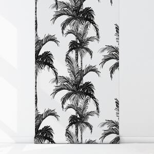 Fototapeta Exotické šedé palmy Samolepící 250x250cm