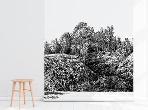 Fototapeta Ručne maľovaný les na skale Samolepící 250x250cm
