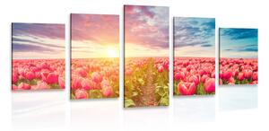 5-dielny obraz východ slnka nad lúkou s tulipánmi