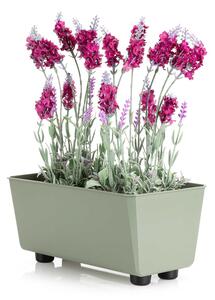 PLASTOVÝ KVETINÁČ SALVIA 28,5X17 CM ZELENÁ