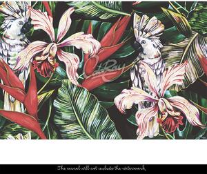 Fototapeta V spoločnosti tropických vtákov a rastlín Samolepící 250x250cm