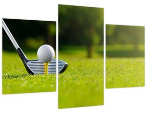 Obraz - Golf (90x60 cm)