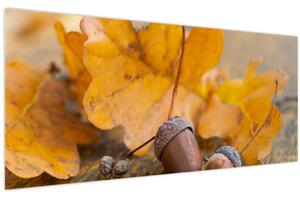Obraz - Jesenné žalude (120x50 cm)