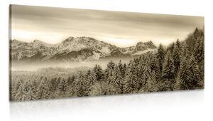 Obraz zamrznuté hory v sépiovom prevedení Varianta: 120x60