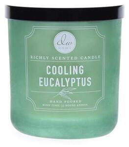 Vonná sviečka v skle - Chladivý eukalyptus 255 g