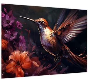 Obraz - Kolibrík (70x50 cm)