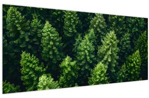 Obraz - Les (120x50 cm)