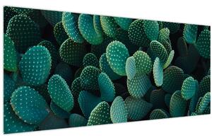 Obraz - Opuncie (120x50 cm)