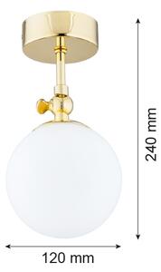 Argon 4001 - Kúpeľňové prisadené svietidlo LATINA 1xE14/40W/230V IP44