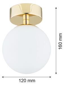 Argon 4004 - Kúpeľňové stropné svietidlo FLAVIO 1xE14/7W/230V IP44