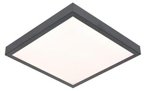 LED Stropné svietidlo VITALI LED/24W/230V
