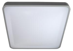 LED Stropné svietidlo WILTON LED/24W/230V šedá