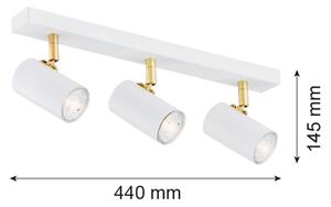 Argon 1475 - Bodové svietidlo LAGOS 3xGU10/5W/230V biela/zlatá