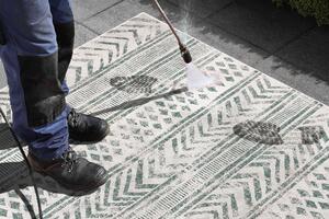 NORTHRUGS - Hanse Home koberce Kusový koberec Twin Supreme 103861 Green / Cream – na von aj na doma - 240x340 cm