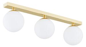 Argon 1414 - Kúpeľňový prisadený luster FLAVIO 3xE14/7W/230V IP44