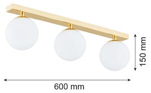 Argon 1414 - Kúpeľňový prisadený luster FLAVIO 3xE14/7W/230V IP44