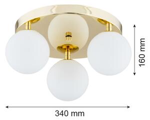 Argon 1413 - Kúpeľňové stropné svietidlo FLAVIO 3xE14/7W/230V IP44