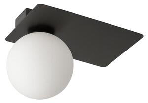 Stropné svietidlo ARGON 1xG9/12W/230V čierna