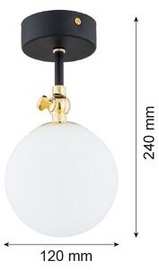 Argon 4003 - Kúpeľňový prisadený luster LATINA 1xE14/7W/230V IP44 čierna/mosadz