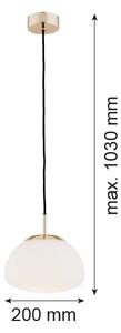 Argon 4352 - Luster na lanku TRINI 1xE27/15W/230V pr. 20 cm zlatá