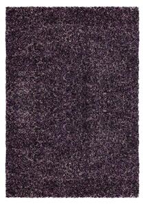 Ayyildiz koberce Kusový koberec Enjoy 4500 lila - 120x170 cm