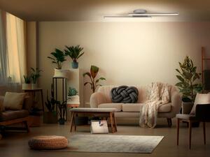 LIVARNO home Nástenné/stropné LED svietidlo (rovné svietidlo) (100357967)