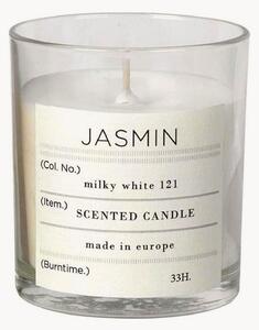 Vonná sviečka Sense (Jasmine)