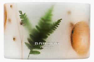 Ručne vyrobená vonná sviečka's 3 knôtmi Botanical (Orange Peel, Mandarin, Star Anise)