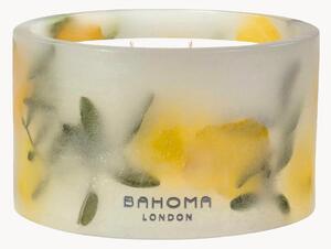 Ručne liata vonná sviečka's 3 knôtmi Botanica (Pine, Citrus, Cedar)