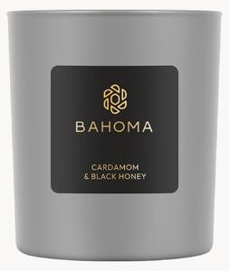 Ručne vyrobená vonná sviečka Ash (Cardamom, Black Honey)