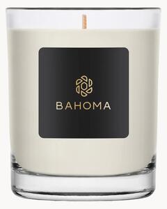 Vonná sviečka Alchemy (Amber, Sauge)