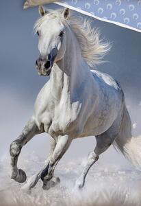 Posteľná bielizeň bavlna Biely kôň