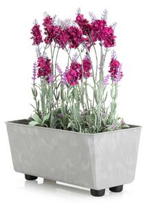 PLASTOVÝ KVETINÁČ SALVIA 28,5X17 CM IMITÁCIA BETÓNU SIVÁ