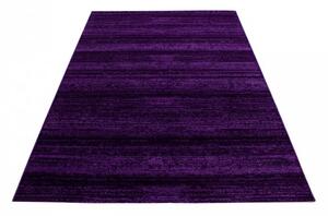 Ayyildiz koberce Kusový koberec Plus 8000 lila - 200x290 cm