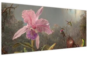 Obraz - Martin Johnson Heade, Cattleya Orchid and Three Hummingbirds, reprodukcia (120x50 cm)
