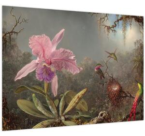 Obraz - Martin Johnson Heade, Cattleya Orchid and Three Hummingbirds, reprodukcia (70x50 cm)