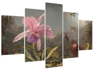 Obraz - Martin Johnson Heade, Cattleya Orchid and Three Hummingbirds, reprodukcia (150x105 cm)