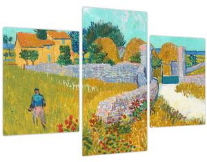 Obraz - Vincent van Gogh, Farmhouse in Provence, reprodukcia (90x60 cm)