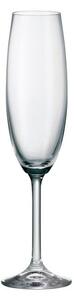 BOHEMIA COLIBRI POHÁR NA ŠAMPANSKÉ 220ML SADA 6KS