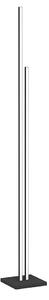 Eglo 31234 - LED Stojacia lampa CANNIGIONA LED/22,9W/230V