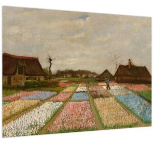 Obraz - Vincent van Gogh, Flower Beds in Holland, reprodukcia (70x50 cm)